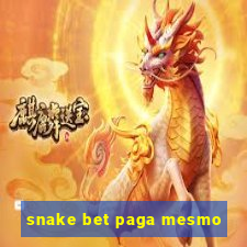 snake bet paga mesmo